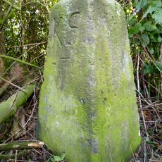 Sächsisch-Preußischer Grenzstein: Pilar Nr. 4 (linkselbisch)