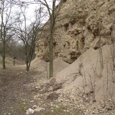 Miocenní sladkovodní vápence