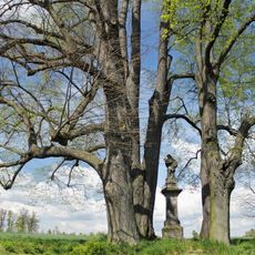 Lípy okolo sochy sv. Jana Nepomuckého v Paceřicích