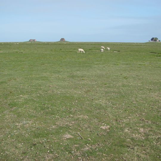 Nordstrandischmoor