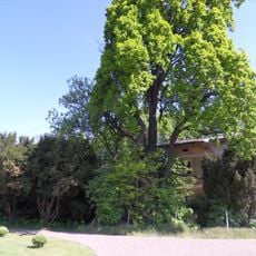 Orangerie Lauchhammer