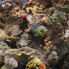 National Museum of Marine Science and Technology