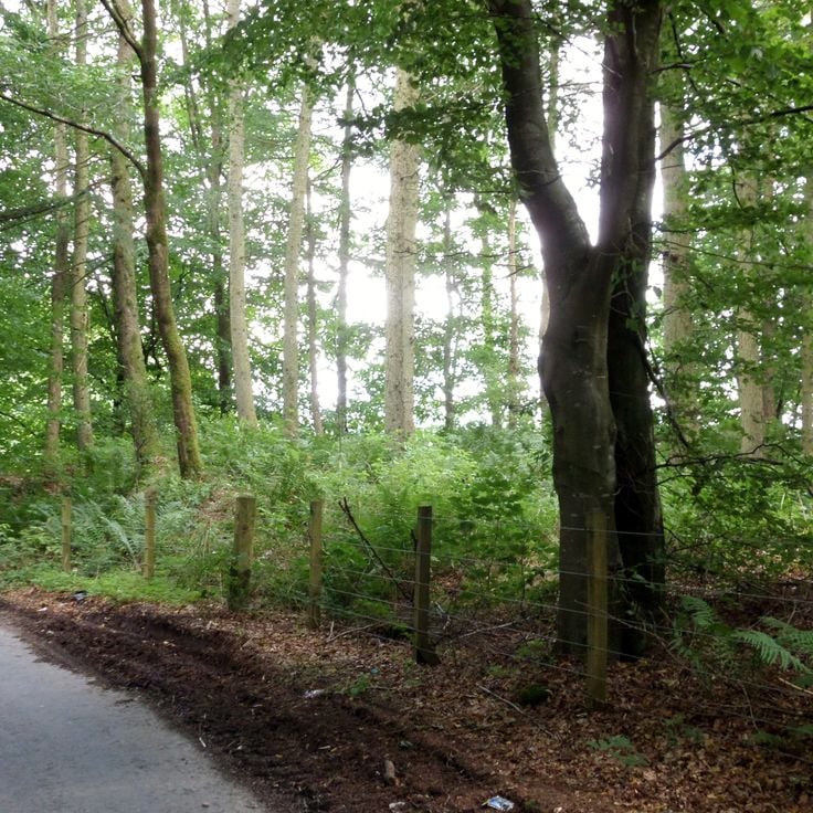 Galgenheuvel Ophangboom