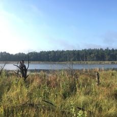 Rezerwat przyrody Jezioro Orchowe