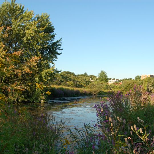 Alewife Brook Reservation