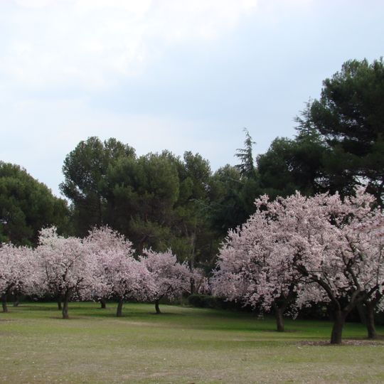Parc Quinta de los Molinos