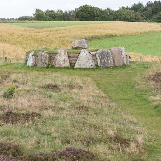 Runddyssen på Tustrup-gravpladsen