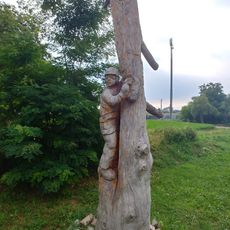 Spiderman of the trees