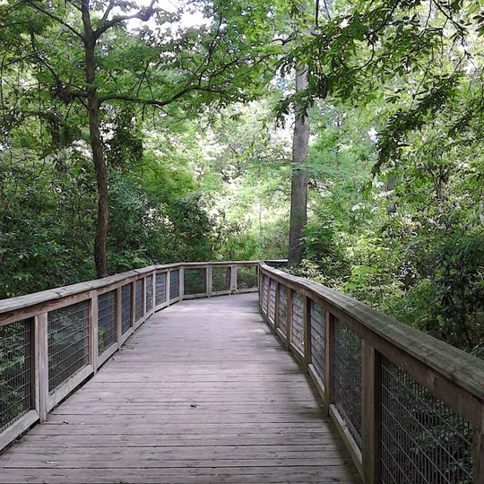 Bluebonnet Swamp Nature Center