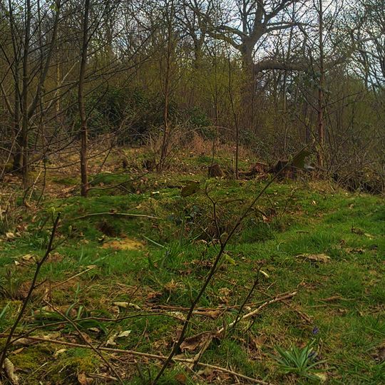 Oval barrow in Shrub's Wood