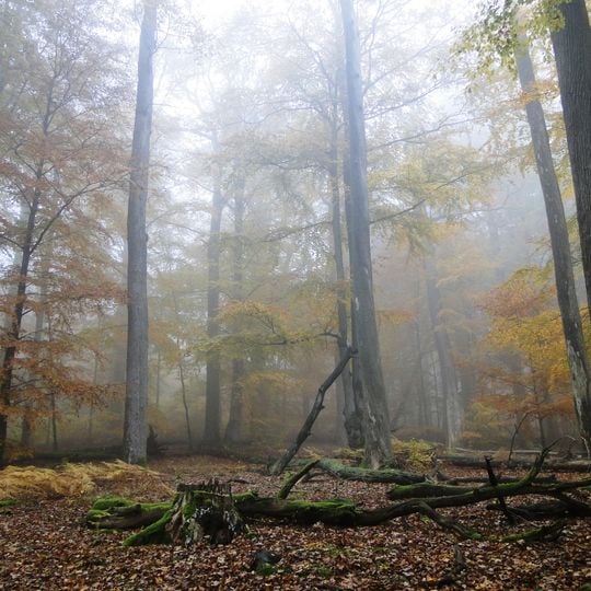 Spessart