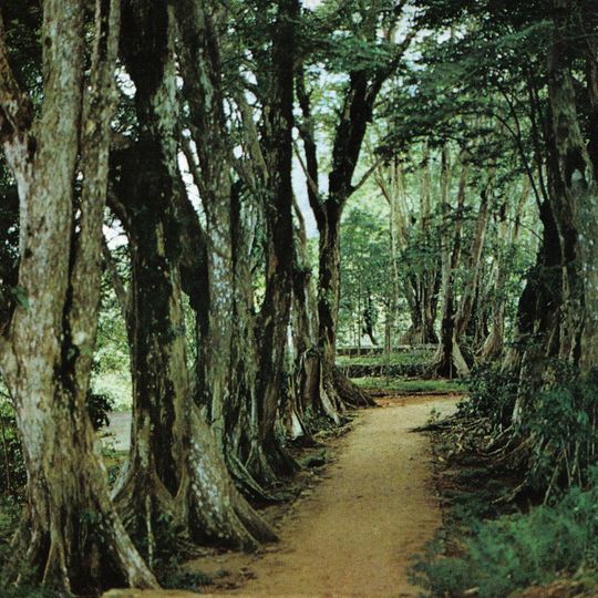 Parco nazionale del Morne Seychellois