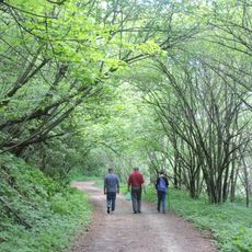 Parco naturale di Rocchetta Tanaro