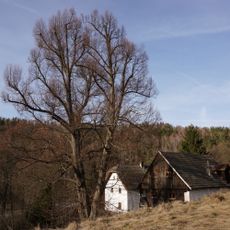 Lípy v Horním Vlachovém