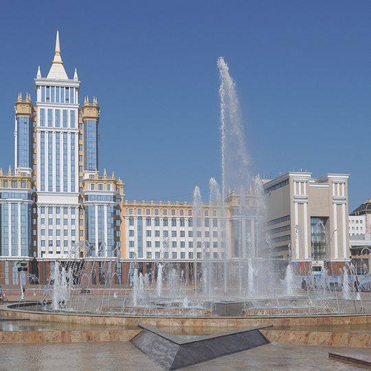 Mordovia State University
