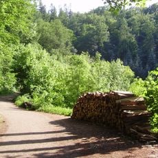 Exotenwald Weinheim