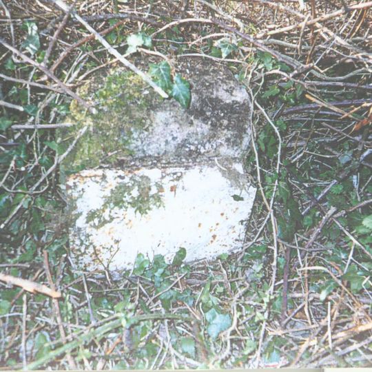 Milestone, Terry Hill, NW of Ammerdown crossroads