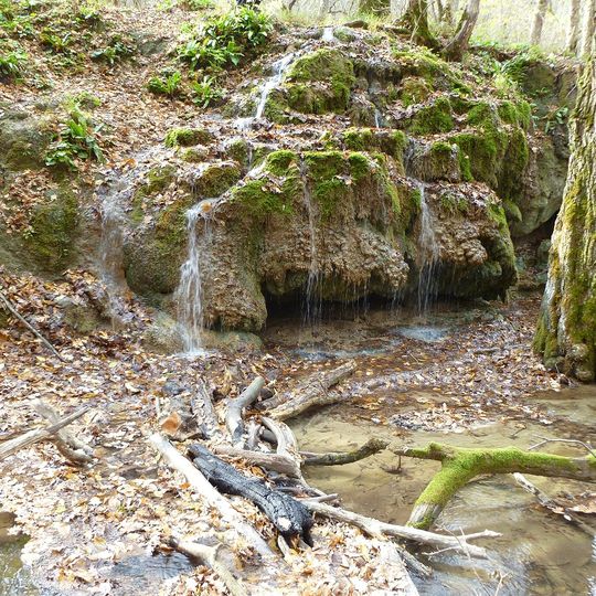Травертиновый источник в Русской лесной даче