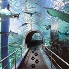 Melbourne Aquarium
