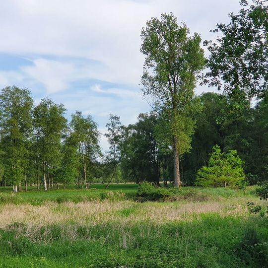 Großes Moor bei Wistedt