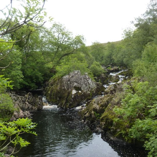 Loups of Barnshangan