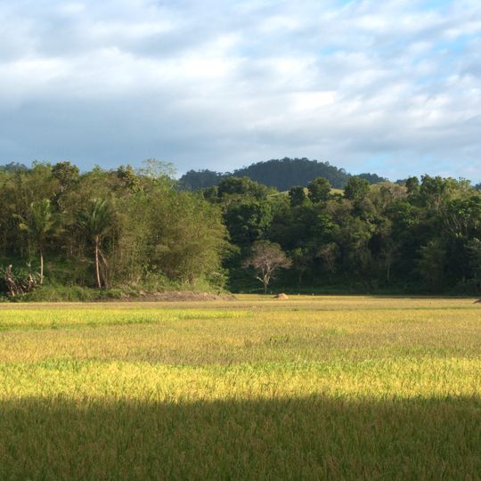 Rajah Sikatuna Protected Landscape