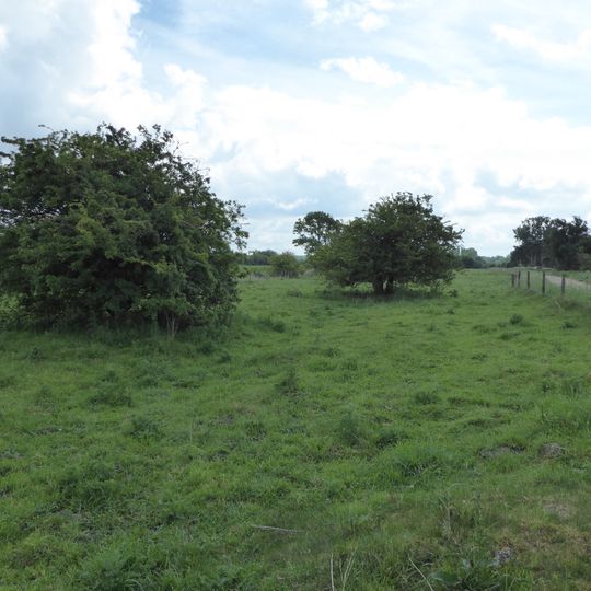 Pashford Poor's Fen, Lakenheath