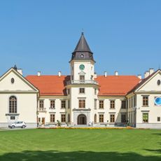 Dzików Castle