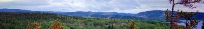 Panoramic View 1