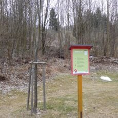 Memorable linden tree in Čistá