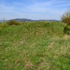 Stronghold Vidhostice