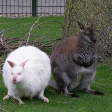 Van Blanckendaell Park