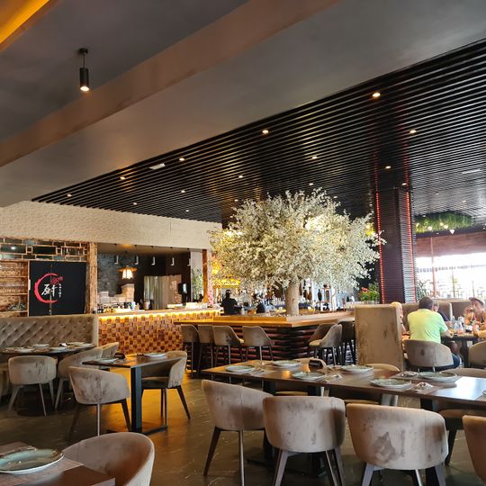Asia Kitchen Restaurante