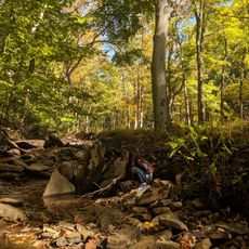 Dans Mountain State Park