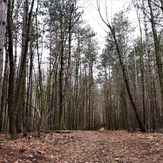 Whitchurch Conservation Area