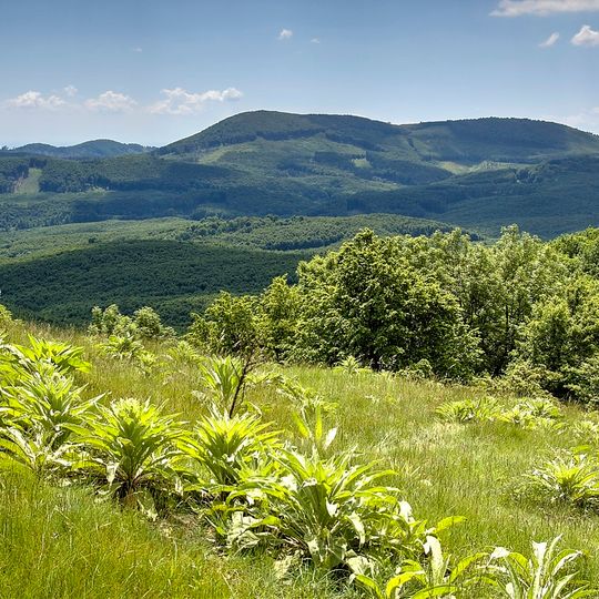 Chránené vtáčie územie Malé Karpaty