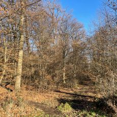 Stiefelsbach und Zuflüsse