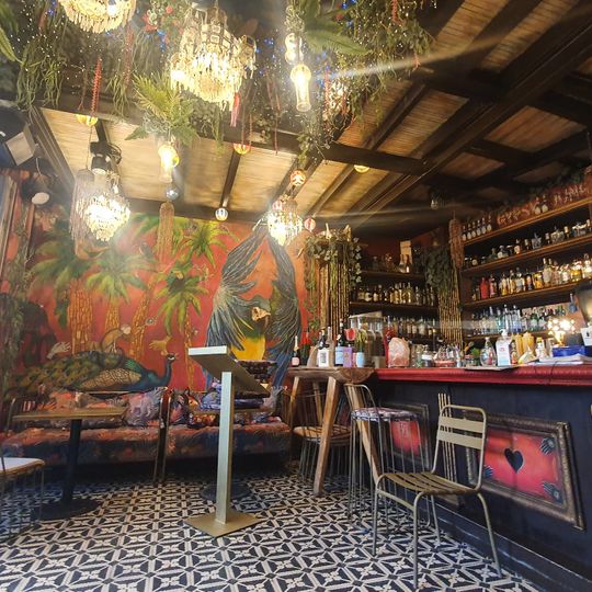 Gypsy Jungle