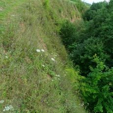 Raudonskardžio atodanga