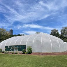 The Butterfly House
