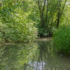Traunauen bei St. Martin