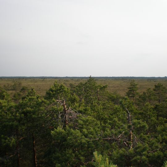 Puurijärven Ja Isonsuon Kansallispuisto