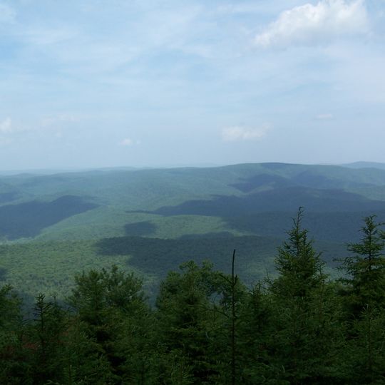 Gaudineer Knob