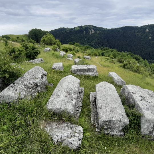 Donji Močioci necropolis