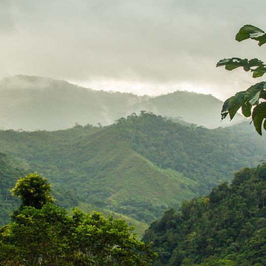 Réserve de biosphère de la Mata Atlântica