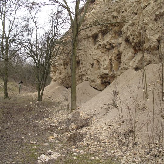 Miocenní sladkovodní vápence