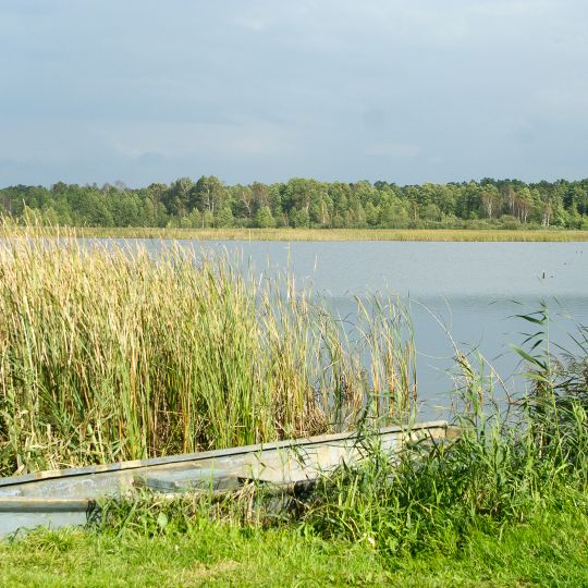 Rezerwat przyrody Stawinoga