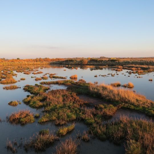 Réserve naturelle nationale des marais de Séné