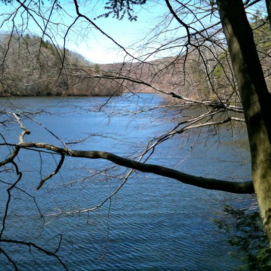 Paugussett State Forest