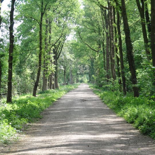Huis te Loïnen: historische tuin- en parkaanleg
